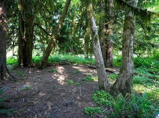 Ridge Rd, Brinnon, WA 98320