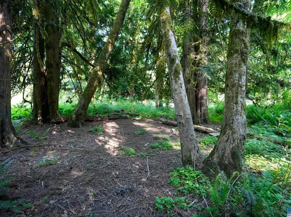 Ridge Rd, Brinnon, WA 98320