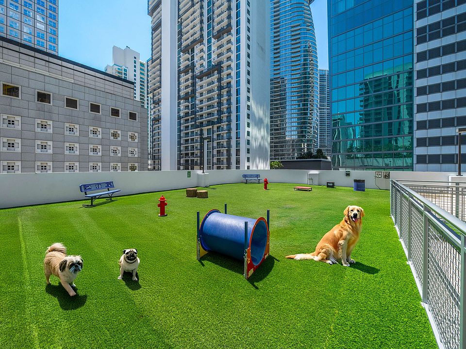 Roof top dog run