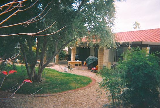 Gorgeous Backyard