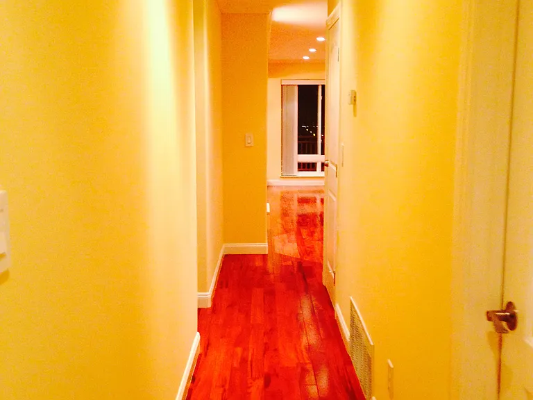 Camelia Dr — Photo 9