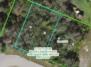 12839 Rio Vista Ave, New Port Richey, FL 34654