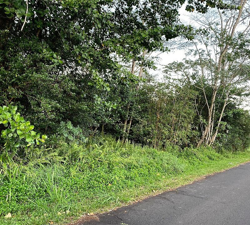 1st image of Paradise Dr Lot 203