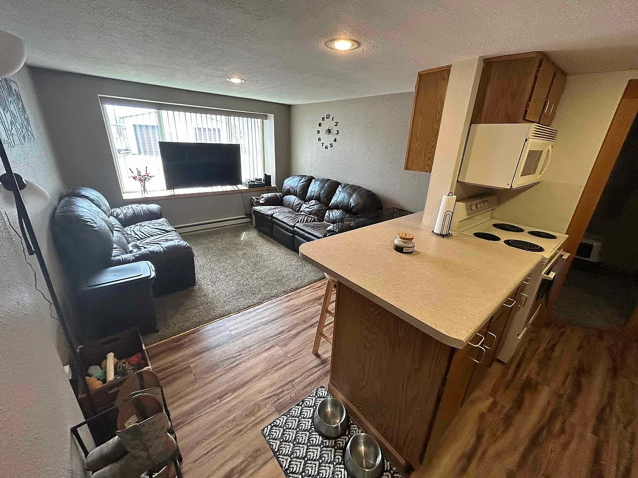 1 bed, 650 sqft, $800 — Photo 4