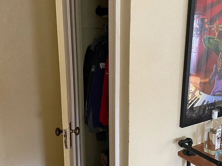 Living room coat closet