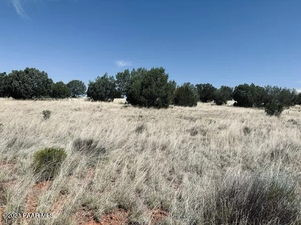 340S Dusty Rose Rd, Seligman, AZ 86337