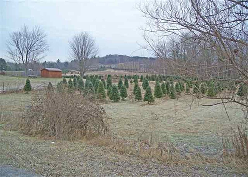 4th image of lot #1 MECO MEADOWS Lane