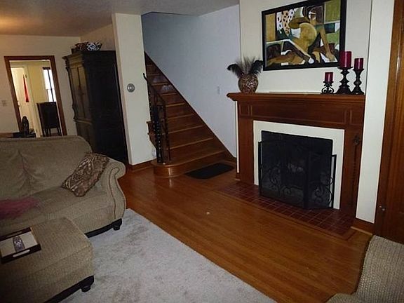 Electric Fireplace Insert