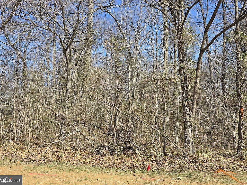 2nd image of Nimitz Ln