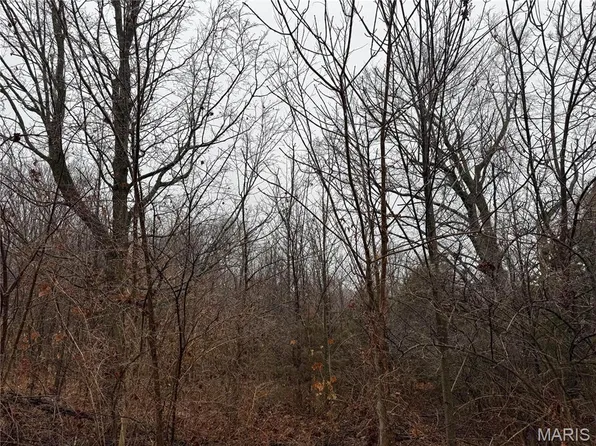 3809 W Rock Creek Rd, Imperial, MO 63052