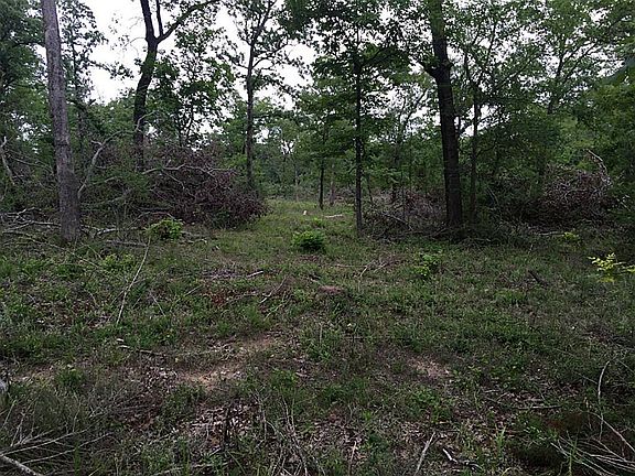 4th image of 20284 County Road 224