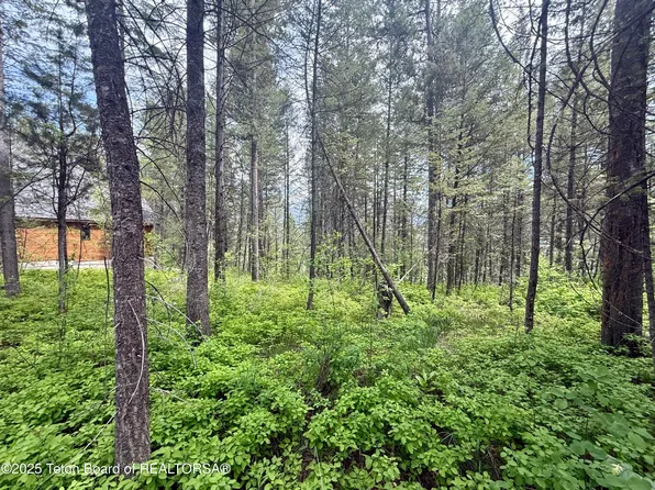 LOT 226 Pinecrest Cres, Alpine, WY 83128