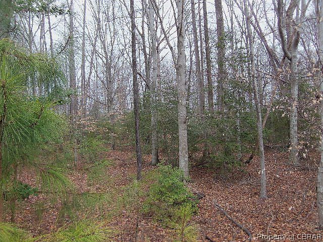 2nd image of LOT 17 Elizabeth Curtis Ln Lot 17