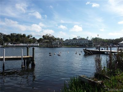 5175 S Gray Pelican Way, Homosassa, FL, 34448