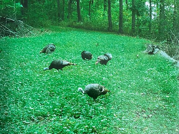 3rd image of Stewartsville Rd