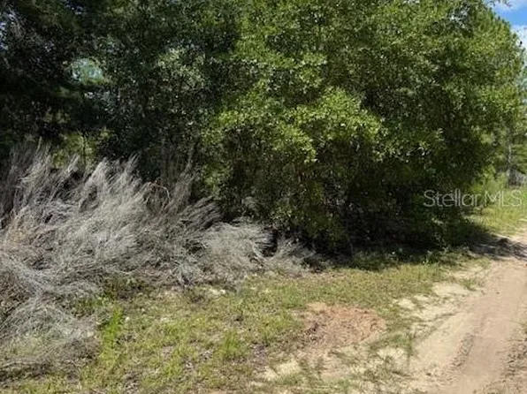 111 S Dakota St Lot 8, Hawthorne, FL 32640