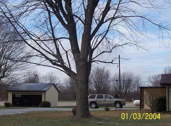 2nd image of 8439 S Leonard Add