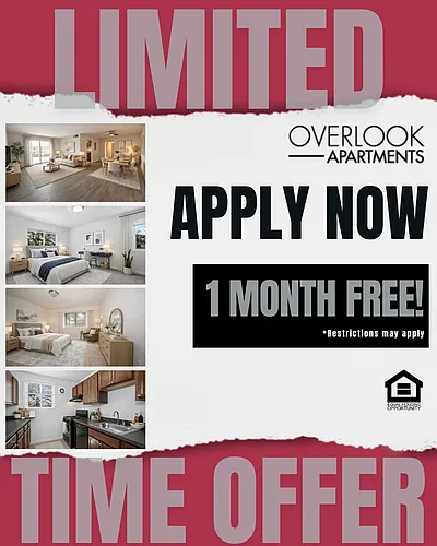Overlook Apartments Photo 1