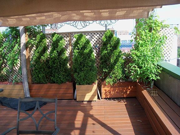 Rooftop Deck