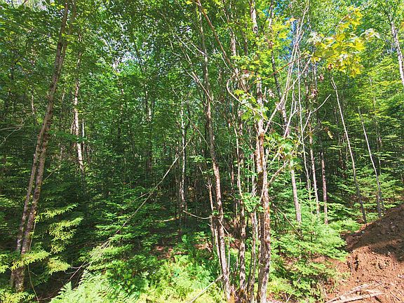 5th image of -- Oregon Road