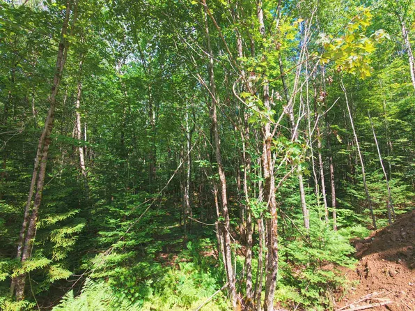 -- Oregon Road, Concord, VT 05824