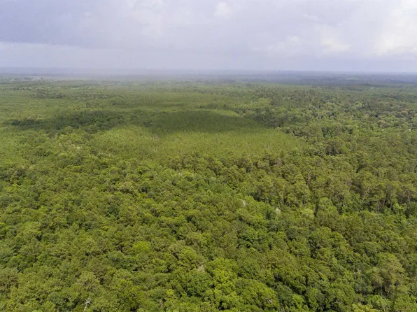 Old Beaumont Hwy, Silsbee, TX 77656