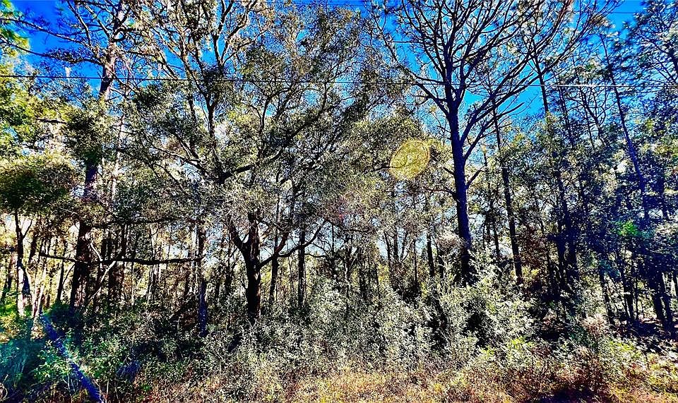 1st image of 10651 N MATARO AVENUE LOT 9
