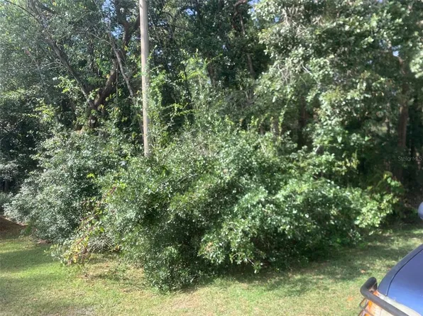 1370 Homosassa Dr, Poinciana, FL 34759