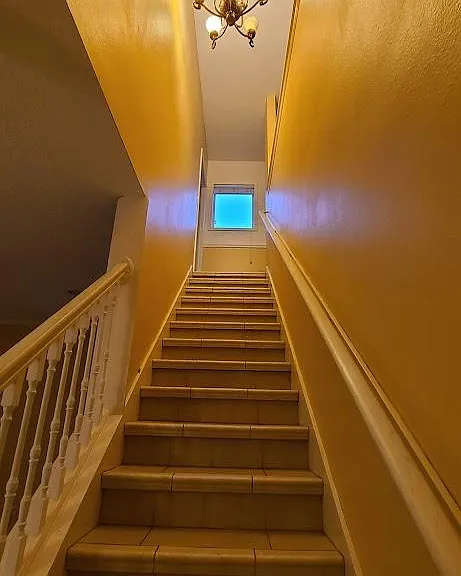 3341 Lake Jean Dr — Photo 20