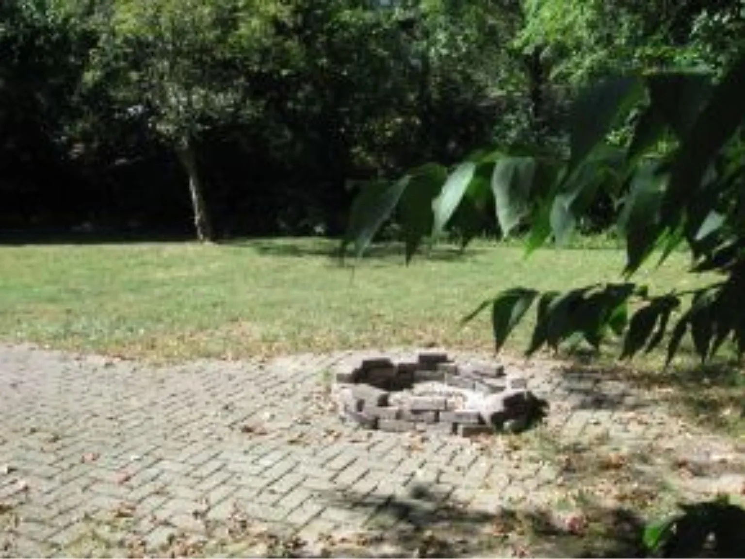 3 bed, 1162 sqft, $1,900 — Photo 4