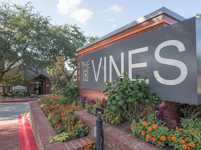 The Vines — Photo 19