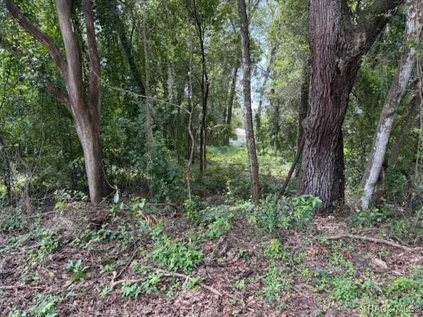 403 Violet Ln, Inverness, FL 34452