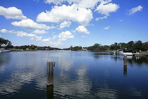 Harbor View