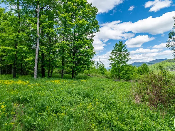 0 Panorama Dr Lot 5, Saranac Lake, NY 12983