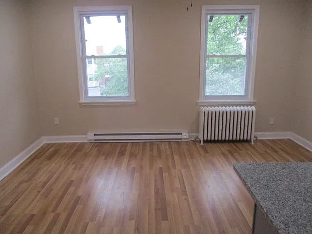 1 bed, 900 sqft, $1,250 — Photo 1