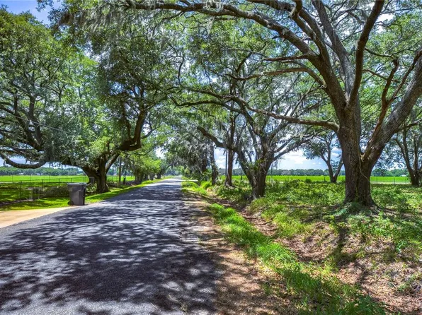 15410 Caruthers Rd, Dover, FL 33527