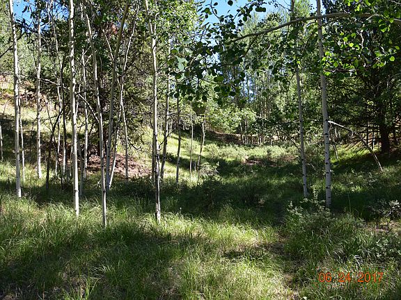 3rd image of 1840 Pikes Peak Dr