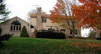 View from the wooded area