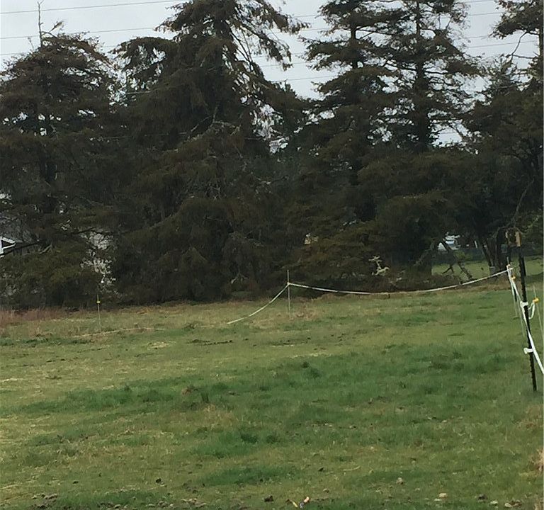 2nd image of 309 Pioneer Rd