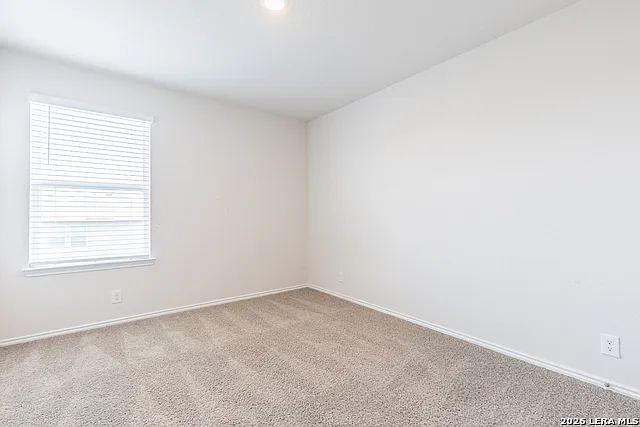 6322 Dabinett — Photo 27