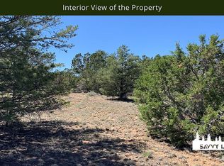 Bodean Rd, Ramah, NM 87321
