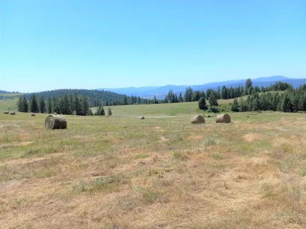 3509 Daisy Mine Rd, Rice, WA 99167