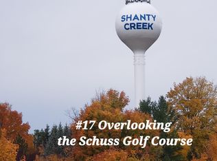 17 Rue De Montagne, Mancelona, MI 49659