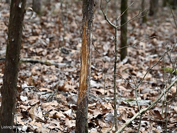 4th image of 4109 Glens Creek Rd