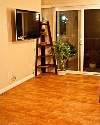 Living room w/wood floors