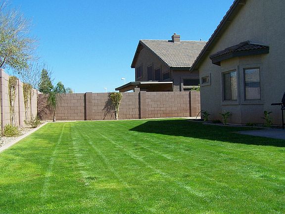Large backyard