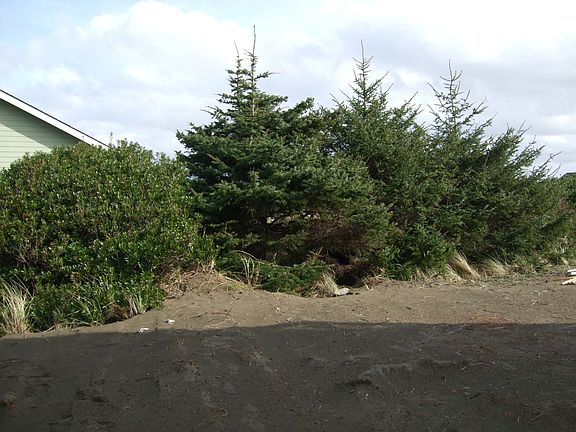 Private Yard