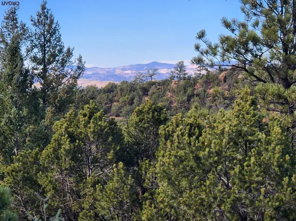 1318 Silver Cir, Westcliffe, CO 81252