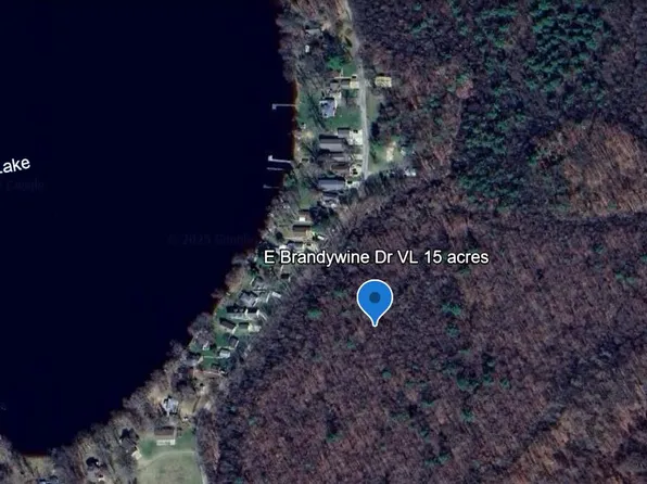 E Brandywine Dr, Gobles, MI 49055