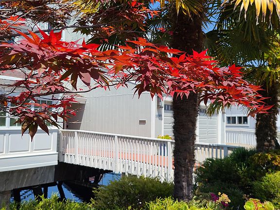 Landscaped front yard.